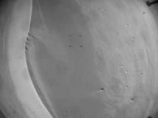 View image taken on Mars, Mars Helicopter Sol 673: Navigation Camera