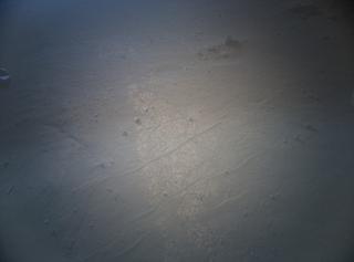 View image taken on Mars, Mars Helicopter Sol 673: Color Camera