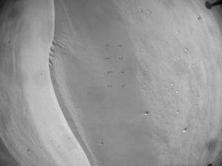 View image taken on Mars, Mars Helicopter Sol 681: Navigation Camera
