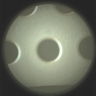 View image taken on Mars, Mars Perseverance Sol 681: SuperCam Camera