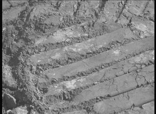 View image taken on Mars, Mars Perseverance Sol 683: Left Mastcam-Z Camera