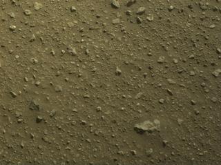 View image taken on Mars, Mars Perseverance Sol 688: Right Navigation Camera (Navcam)