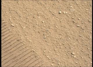 View image taken on Mars, Mars Perseverance Sol 688: Left Mastcam-Z Camera