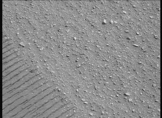 View image taken on Mars, Mars Perseverance Sol 688: Left Mastcam-Z Camera