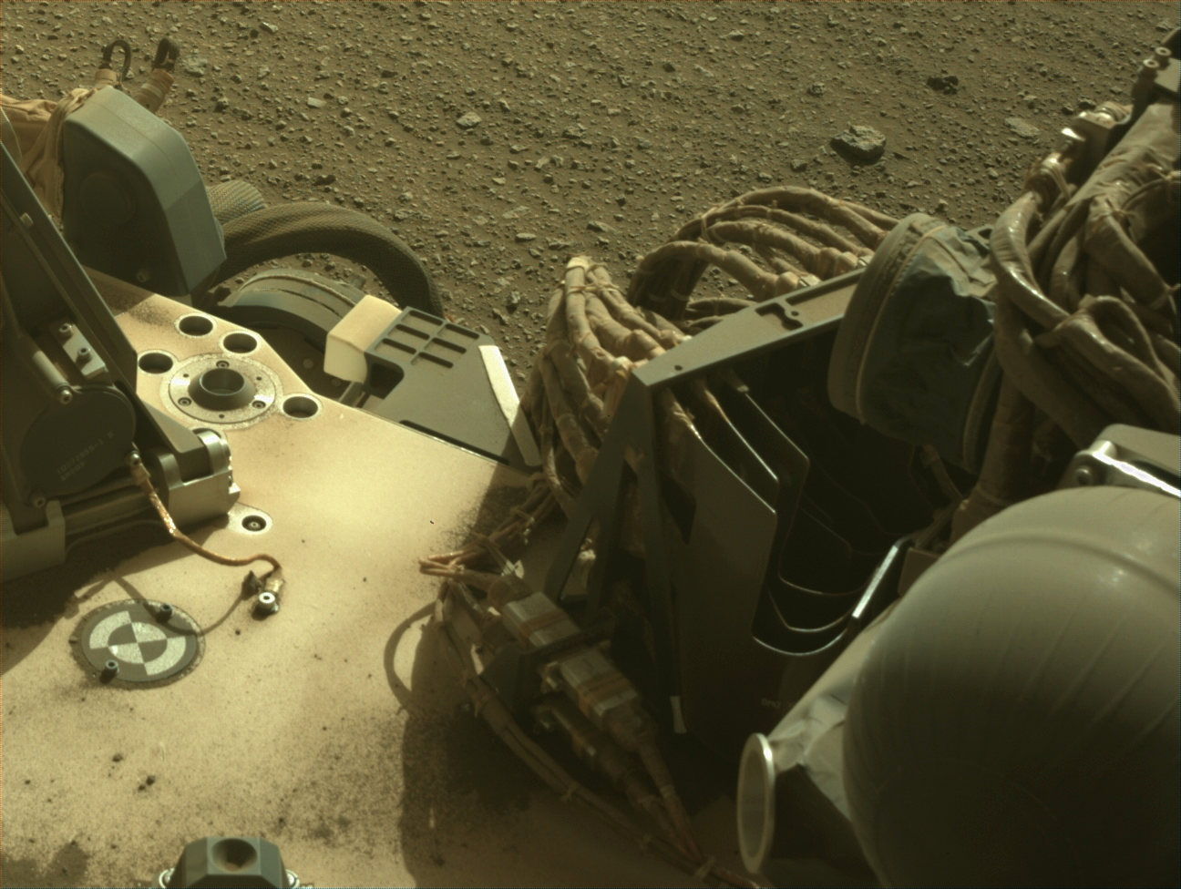 Images from the Mars Perseverance Rover - NASA Mars