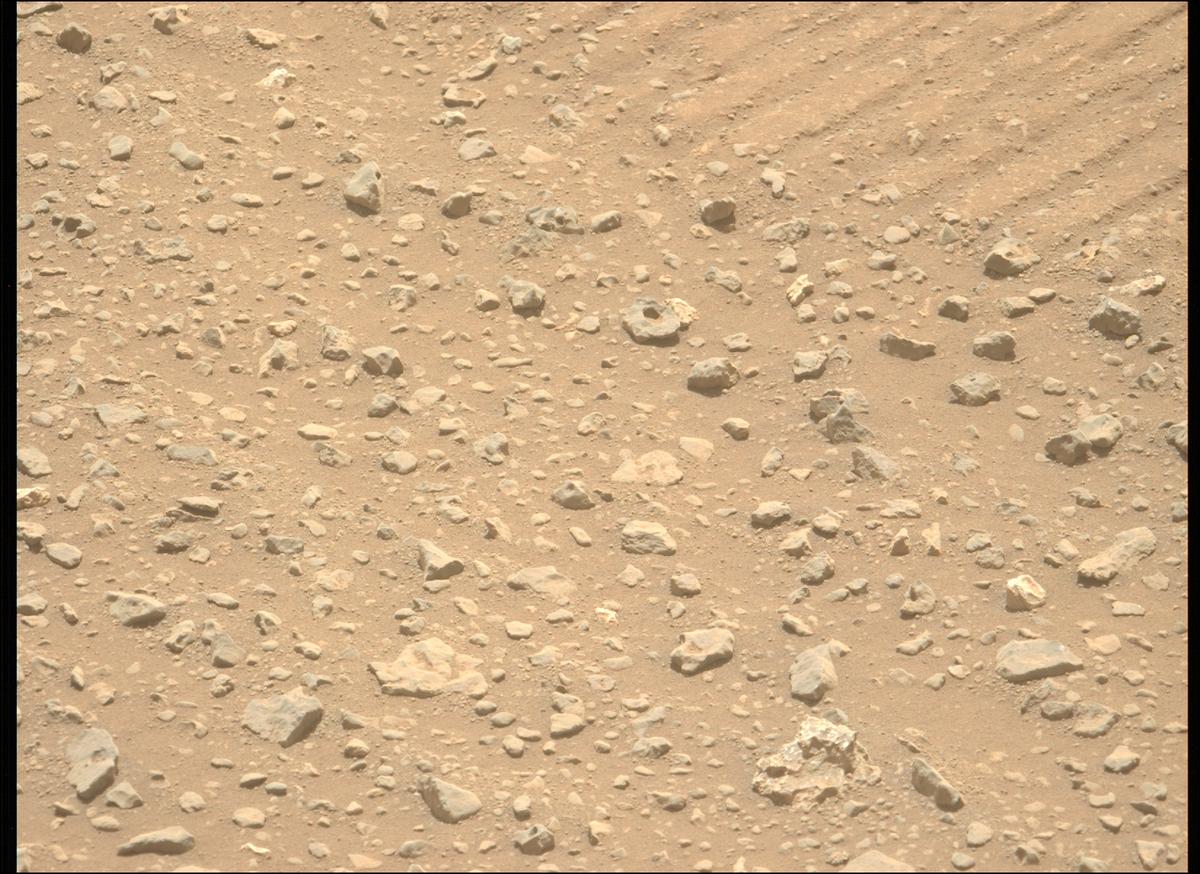 This image was taken by MCZ_LEFT onboard NASA's Mars rover Perseverance on Sol 693