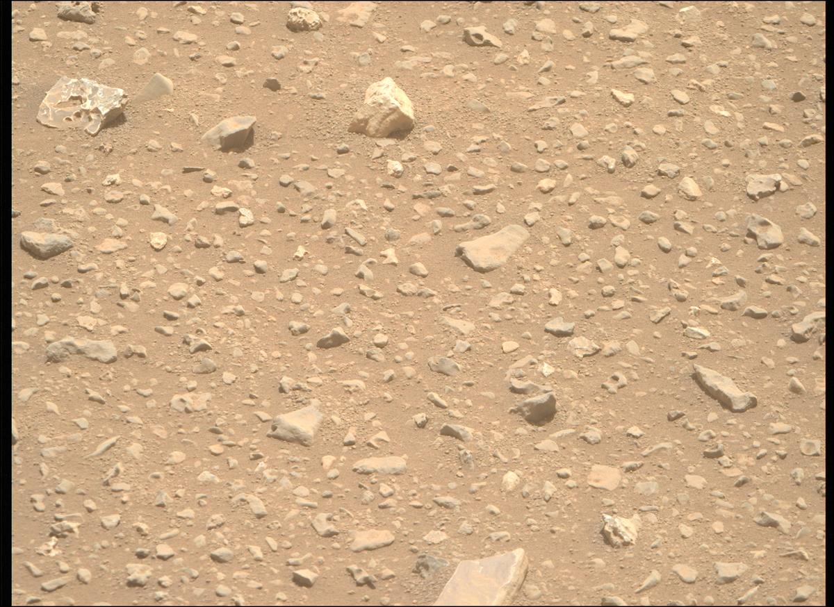 This image was taken by MCZ_RIGHT onboard NASA's Mars rover Perseverance on Sol 693