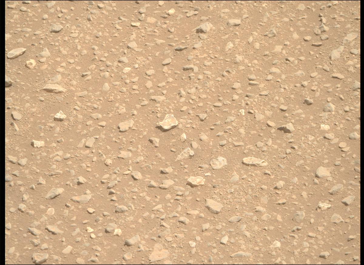 This image was taken by MCZ_RIGHT onboard NASA's Mars rover Perseverance on Sol 693