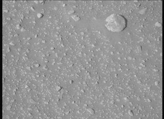 View image taken on Mars, Mars Perseverance Sol 694: Left Mastcam-Z Camera