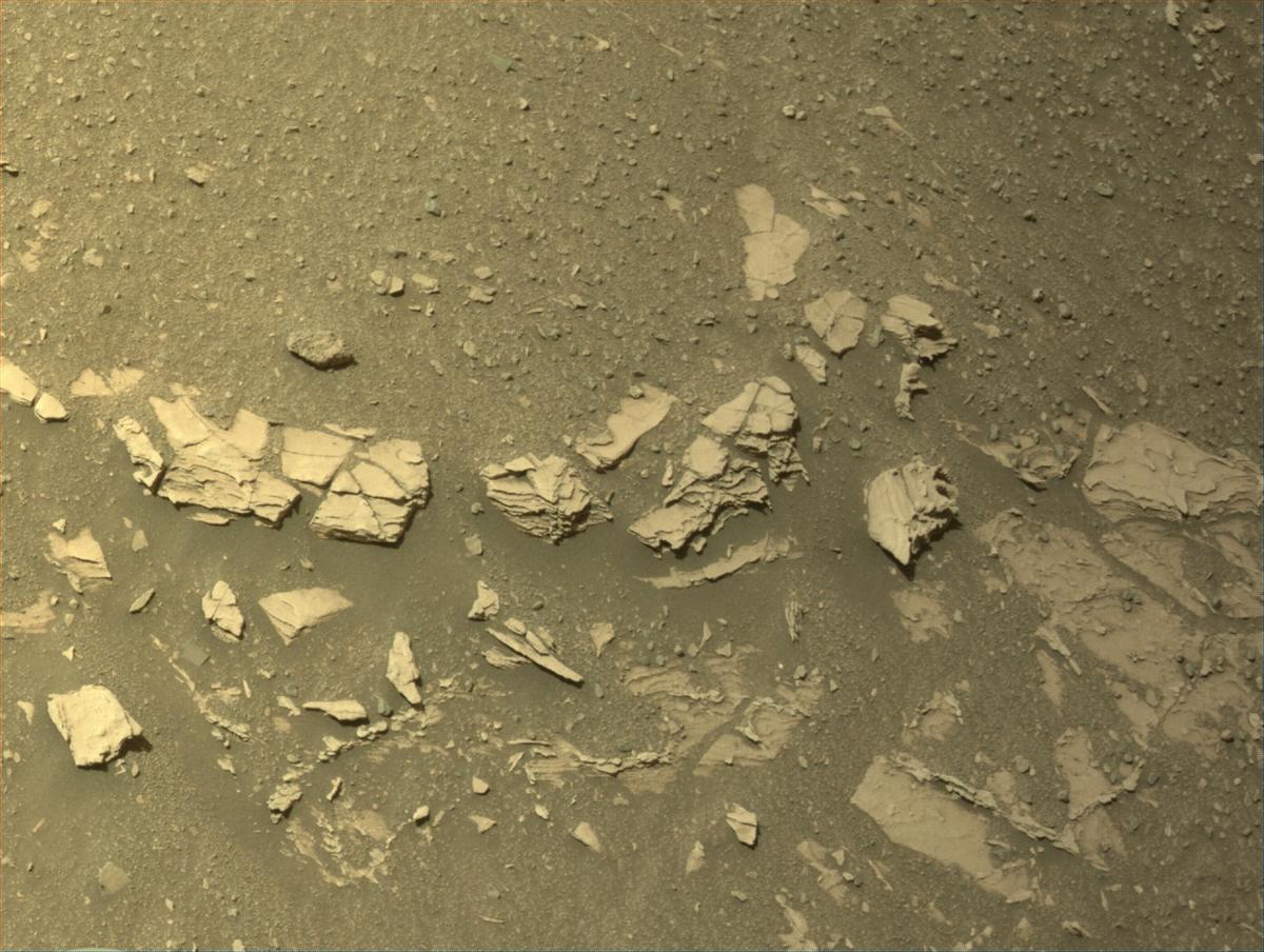 This image was taken by NAVCAM_LEFT onboard NASA's Mars rover Perseverance on Sol 695