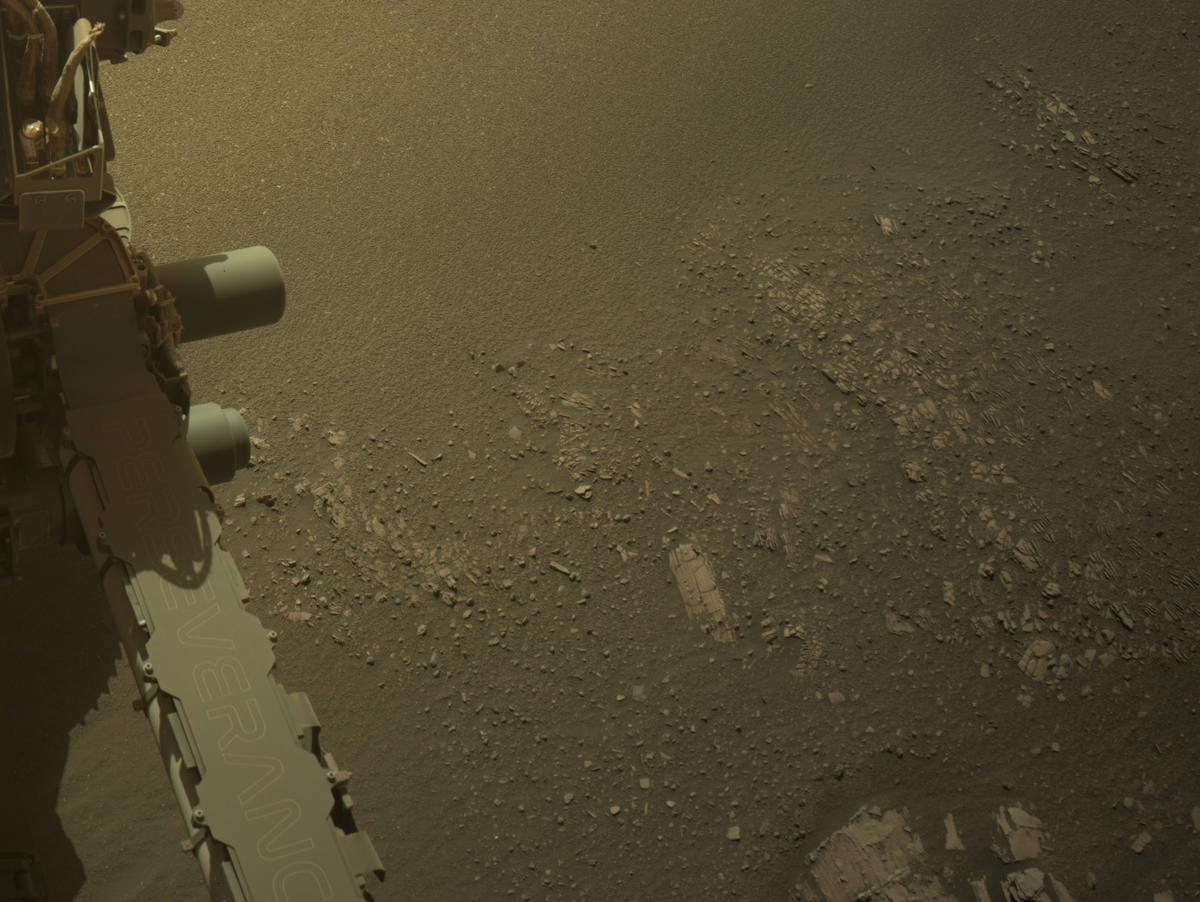 This image was taken by NAVCAM_RIGHT onboard NASA's Mars rover Perseverance on Sol 695