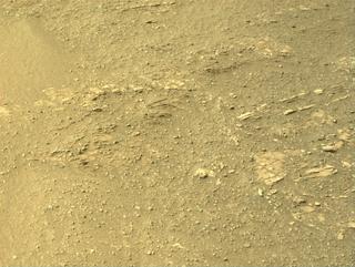 View image taken on Mars, Mars Perseverance Sol 695: Right Navigation Camera (Navcam)