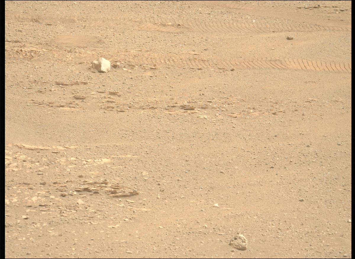 This image was taken by MCZ_LEFT onboard NASA's Mars rover Perseverance on Sol 695