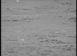 View image taken on Mars, Mars Perseverance Sol 695: Left Mastcam-Z Camera