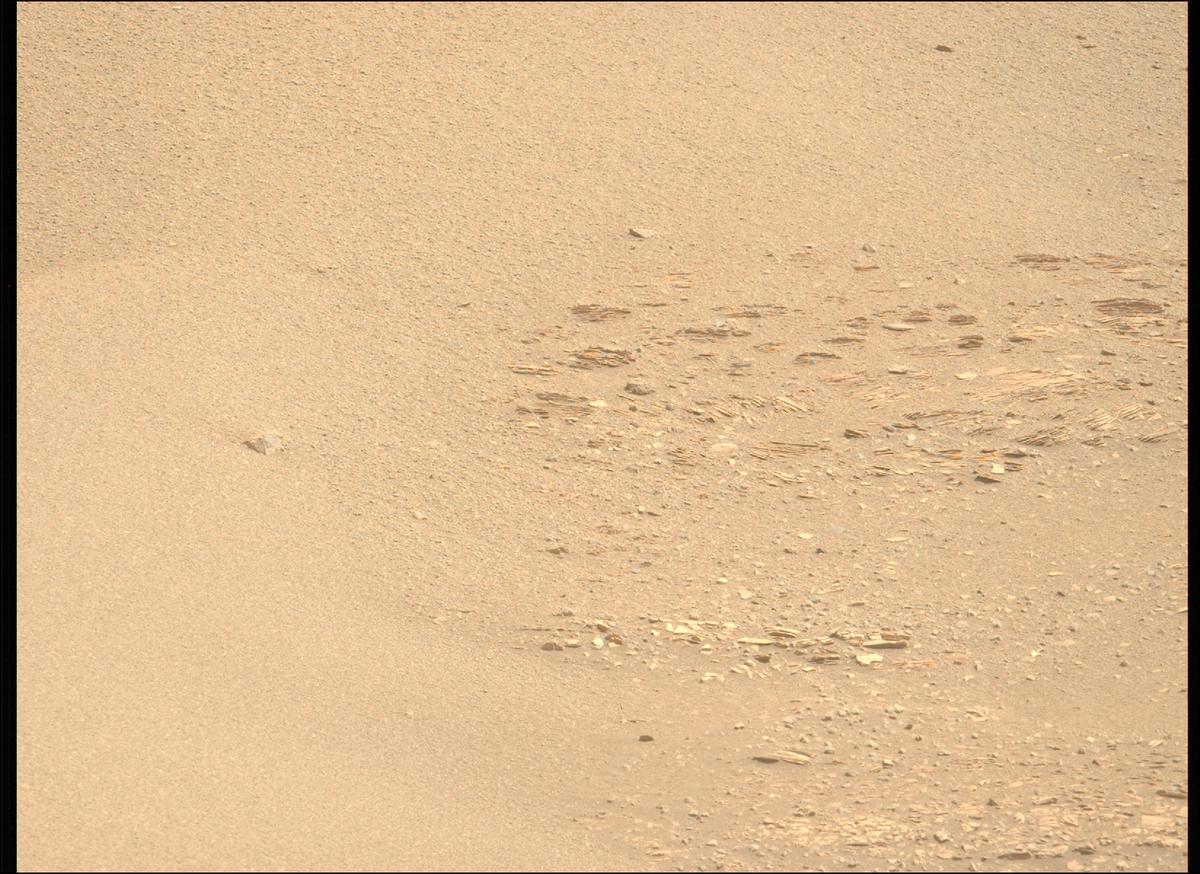 This image was taken by MCZ_LEFT onboard NASA's Mars rover Perseverance on Sol 695