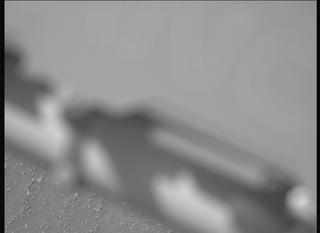 View image taken on Mars, Mars Perseverance Sol 695: Left Mastcam-Z Camera