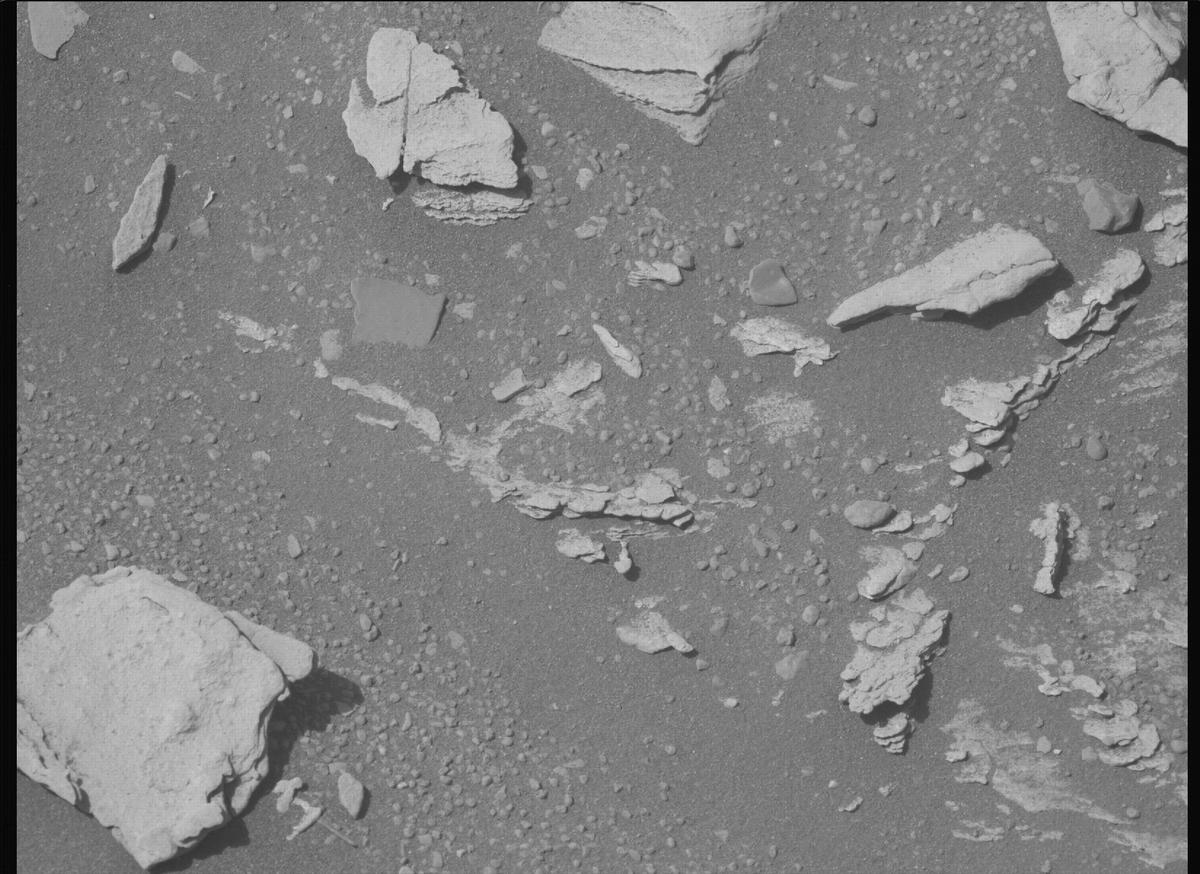 This image was taken by MCZ_LEFT onboard NASA's Mars rover Perseverance on Sol 695
