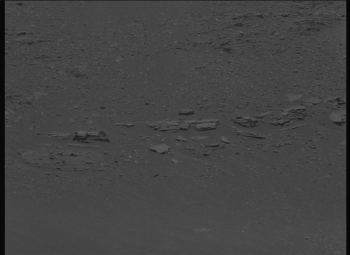 This image was taken by MCZ_LEFT onboard NASA's Mars rover Perseverance on Sol 695