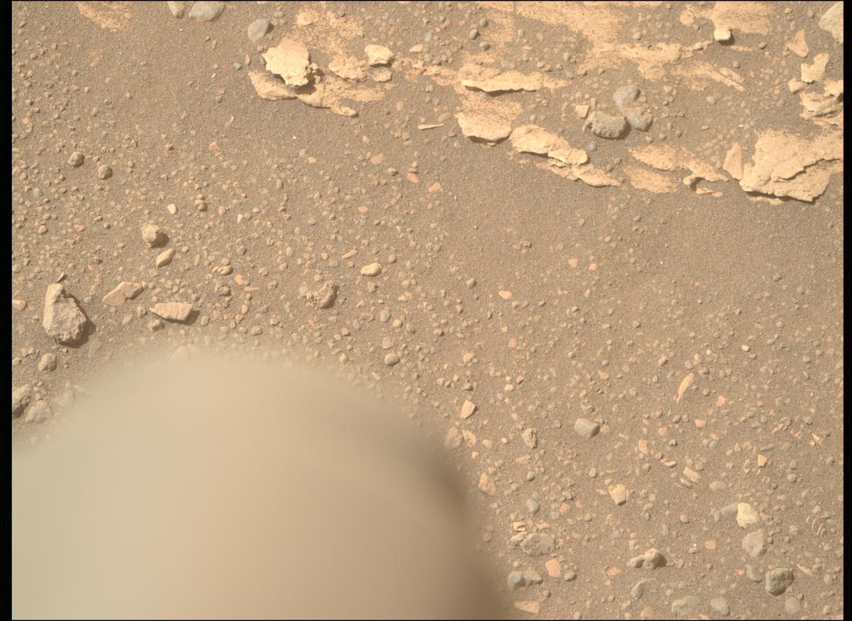This image was taken by MCZ_RIGHT onboard NASA's Mars rover Perseverance on Sol 695