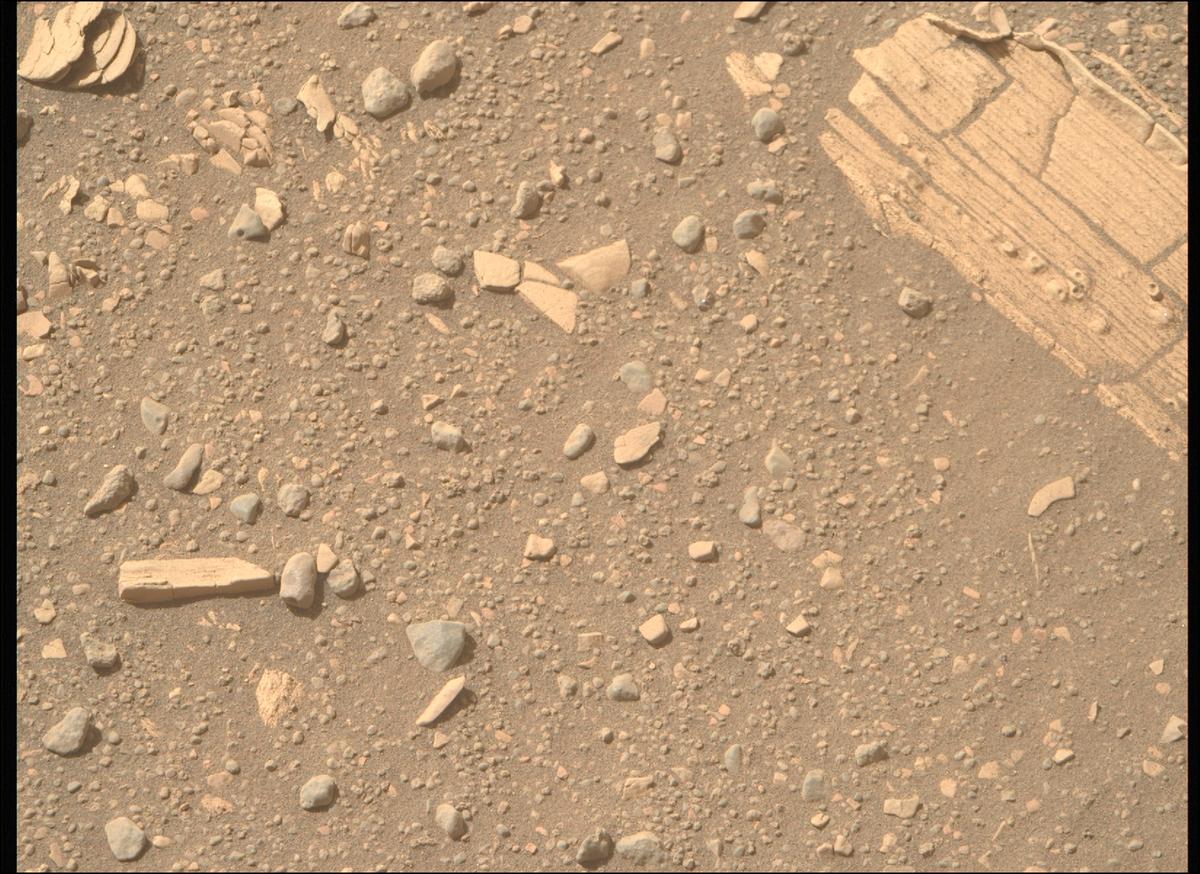 This image was taken by MCZ_RIGHT onboard NASA's Mars rover Perseverance on Sol 695