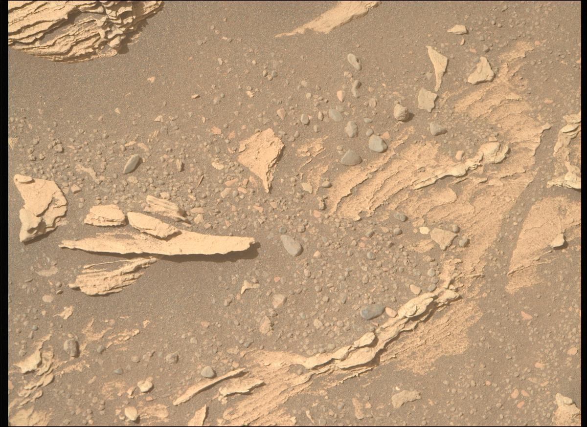 This image was taken by MCZ_RIGHT onboard NASA's Mars rover Perseverance on Sol 695