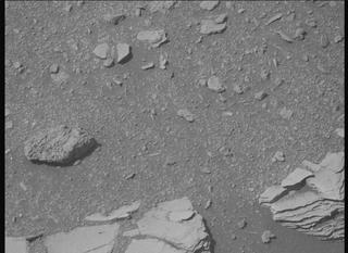 View image taken on Mars, Mars Perseverance Sol 695: Right Mastcam-Z Camera