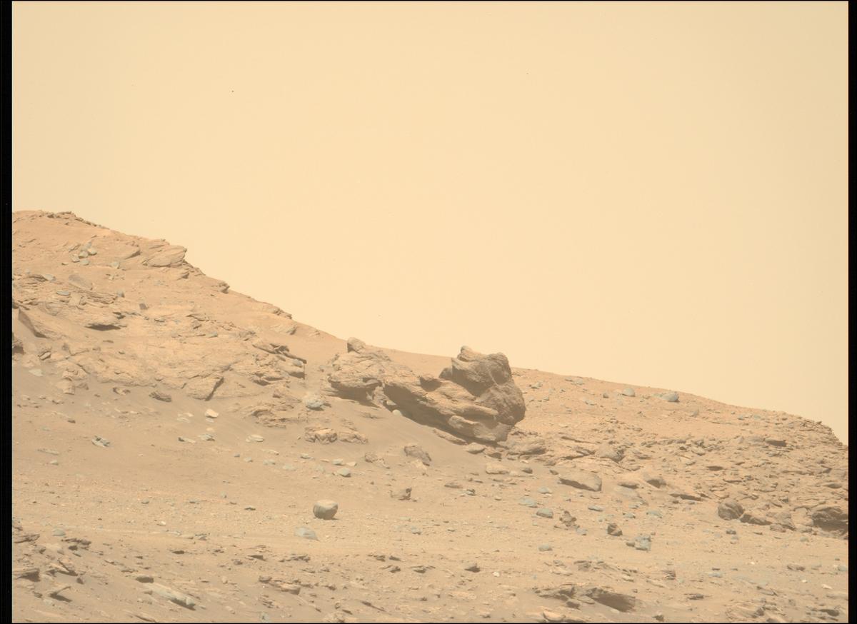 This image was taken by MCZ_LEFT onboard NASA's Mars rover Perseverance on Sol 696