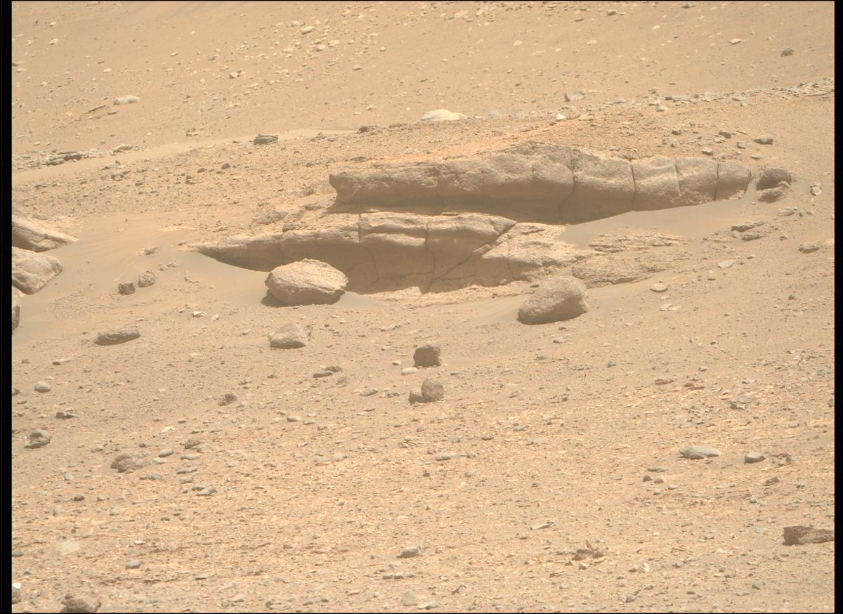 This image was taken by MCZ_RIGHT onboard NASA's Mars rover Perseverance on Sol 696