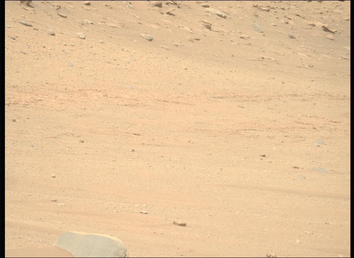 This image was taken by MCZ_RIGHT onboard NASA's Mars rover Perseverance on Sol 696