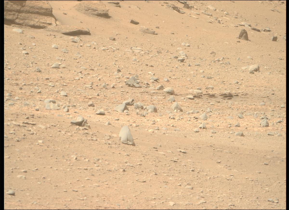 This image was taken by MCZ_RIGHT onboard NASA's Mars rover Perseverance on Sol 696