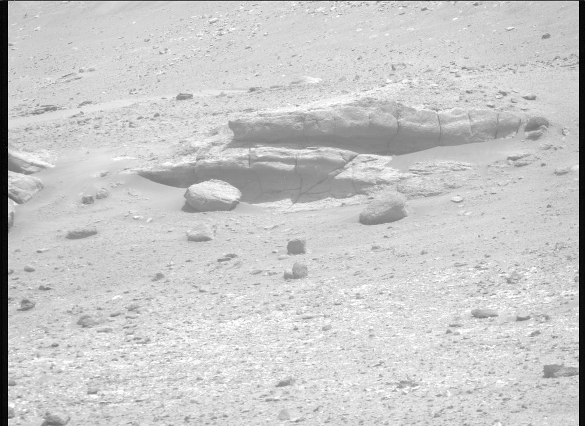 This image was taken by MCZ_RIGHT onboard NASA's Mars rover Perseverance on Sol 696