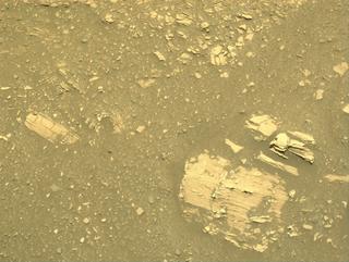View image taken on Mars, Mars Perseverance Sol 697: Right Navigation Camera (Navcam)