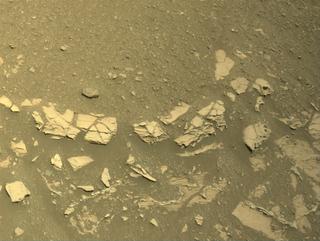 View image taken on Mars, Mars Perseverance Sol 697: Right Navigation Camera (Navcam)