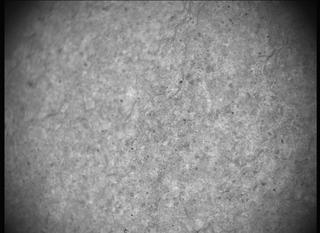 View image taken on Mars, Mars Perseverance Sol 697: SHERLOC ACI Camera 