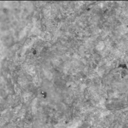 View image taken on Mars, Mars Perseverance Sol 697: SHERLOC ACI Camera 