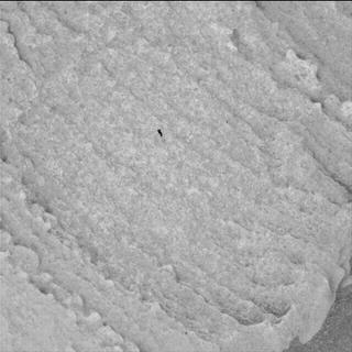 View image taken on Mars, Mars Perseverance Sol 697: WATSON Camera 