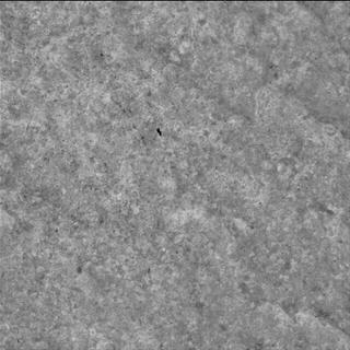 View image taken on Mars, Mars Perseverance Sol 697: WATSON Camera 