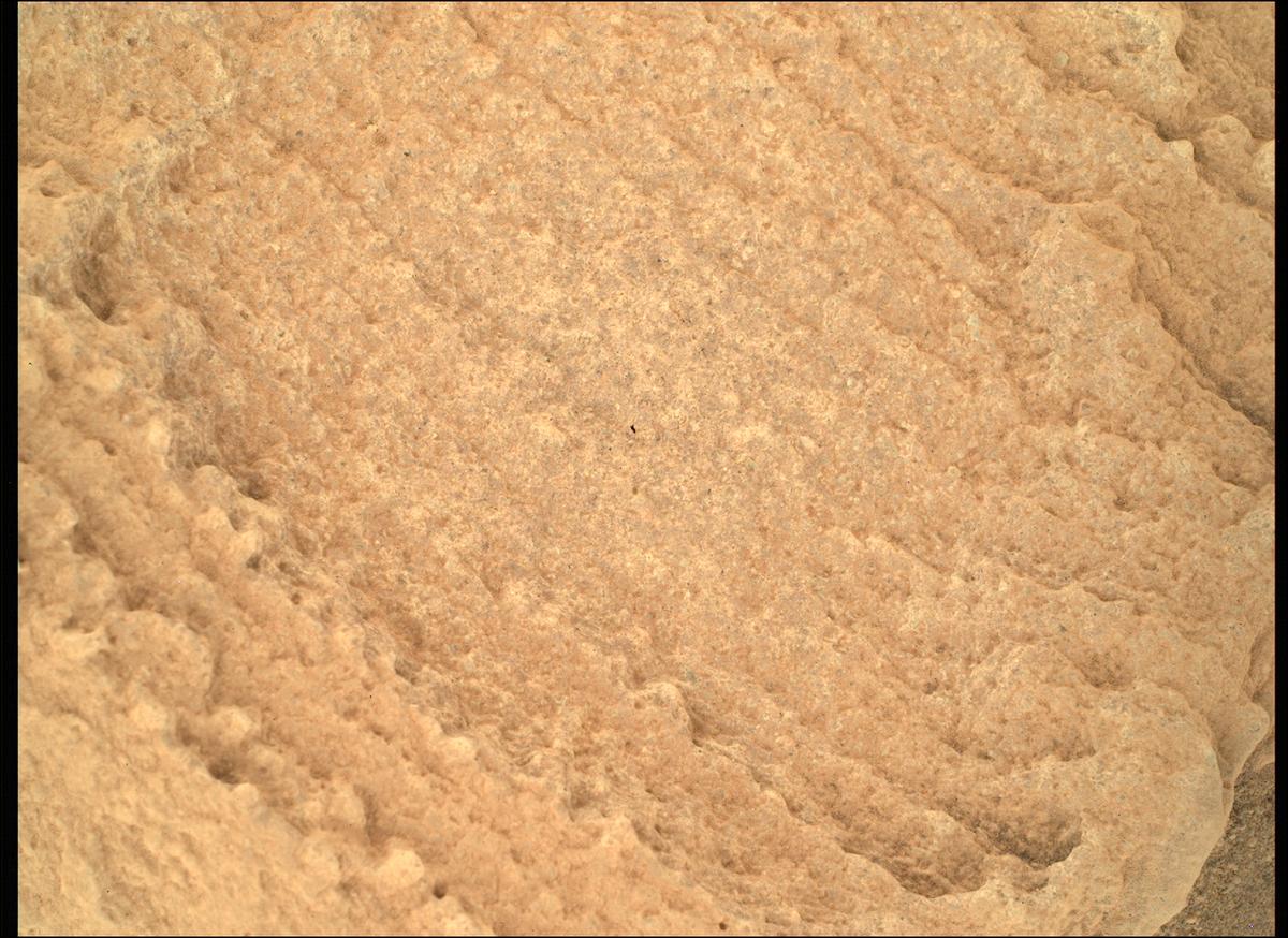 This image was taken by SHERLOC_WATSON onboard NASA's Mars rover Perseverance on Sol 697