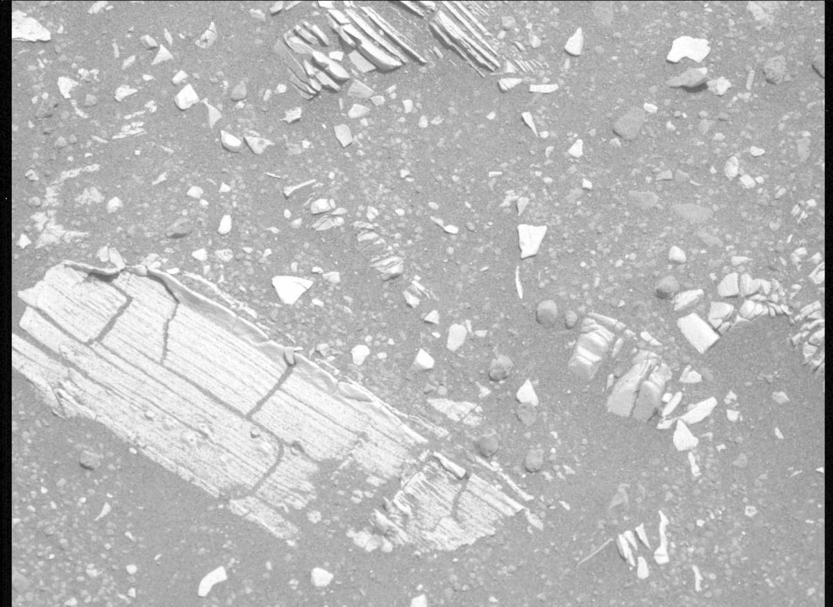 This image was taken by MCZ_LEFT onboard NASA's Mars rover Perseverance on Sol 697