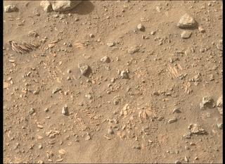 View image taken on Mars, Mars Perseverance Sol 698: Right Mastcam-Z Camera