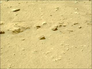 View image taken on Mars, Mars Perseverance Sol 699: Left Navigation Camera (Navcam)