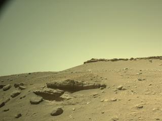 View image taken on Mars, Mars Perseverance Sol 699: Right Navigation Camera (Navcam)