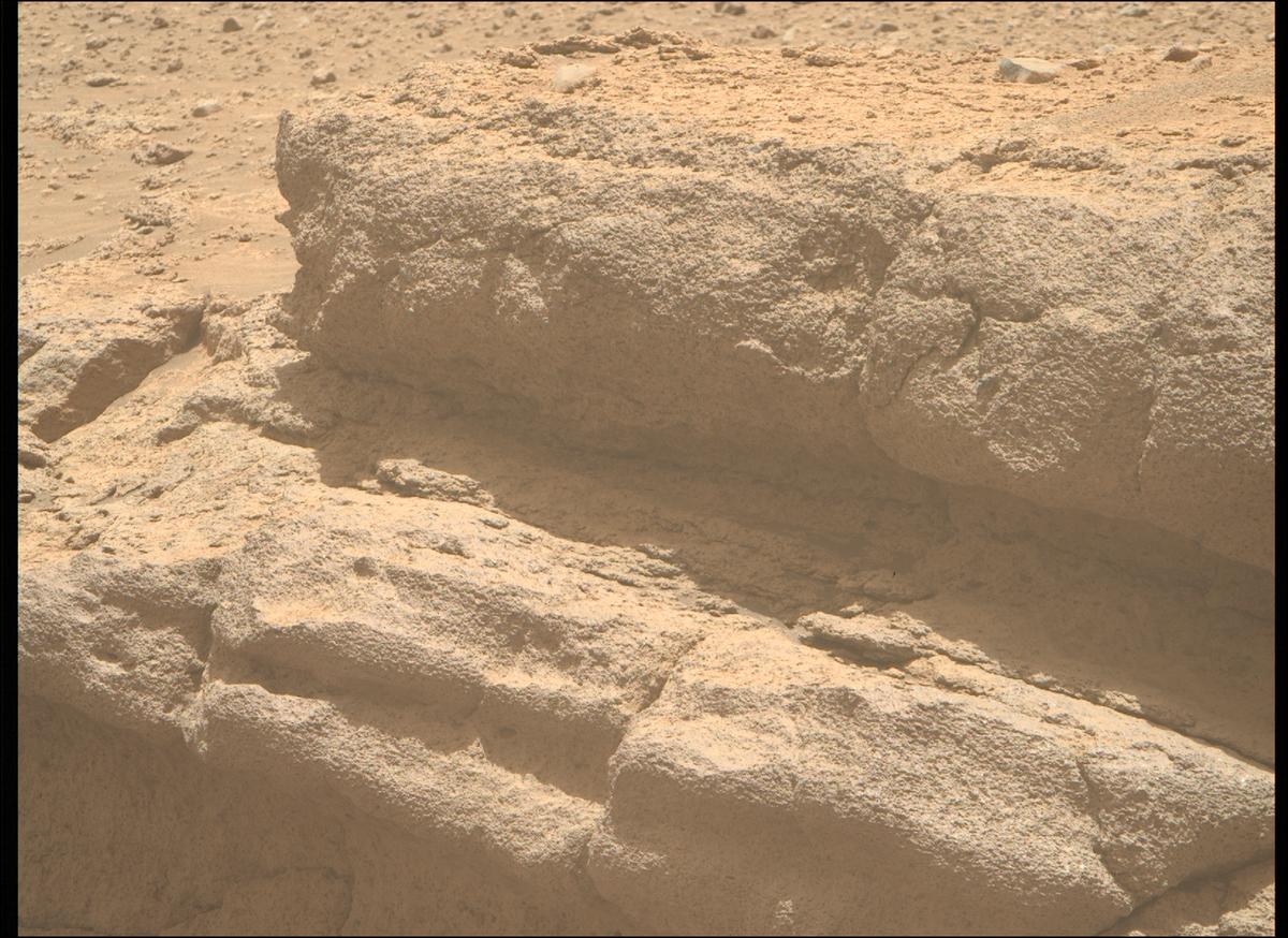 This image was taken by MCZ_RIGHT onboard NASA's Mars rover Perseverance on Sol 699