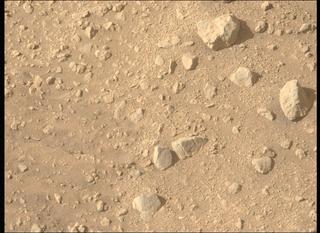 View image taken on Mars, Mars Perseverance Sol 700: Left Mastcam-Z Camera