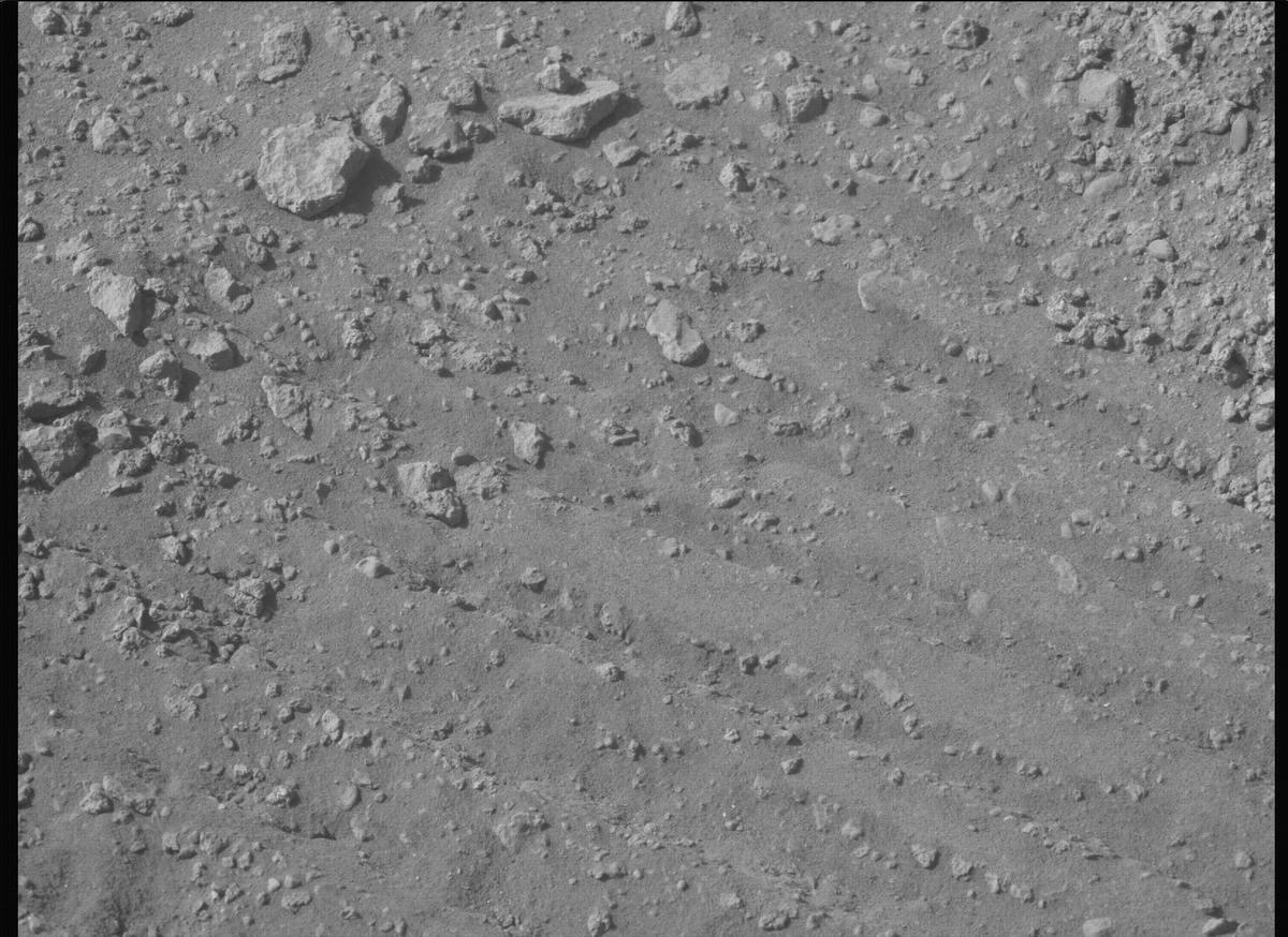 This image was taken by MCZ_LEFT onboard NASA's Mars rover Perseverance on Sol 700