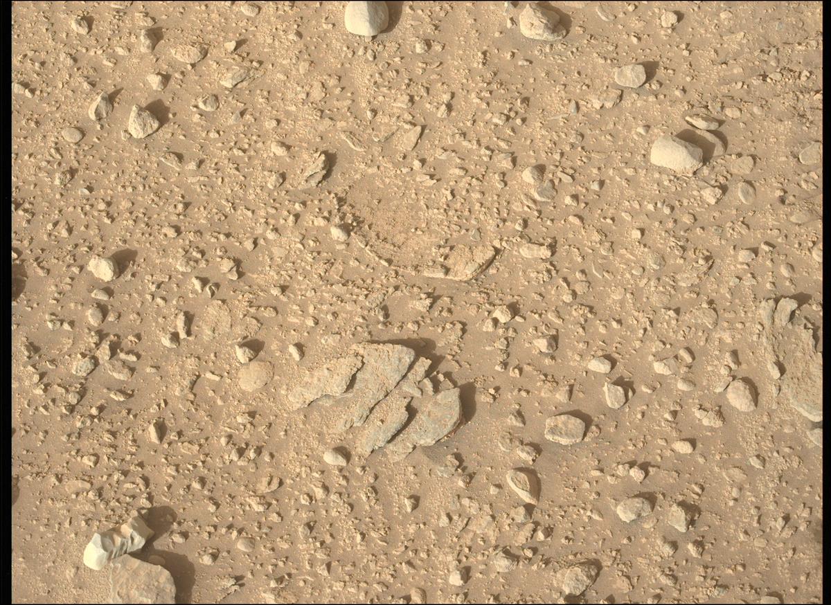 This image was taken by MCZ_LEFT onboard NASA's Mars rover Perseverance on Sol 700