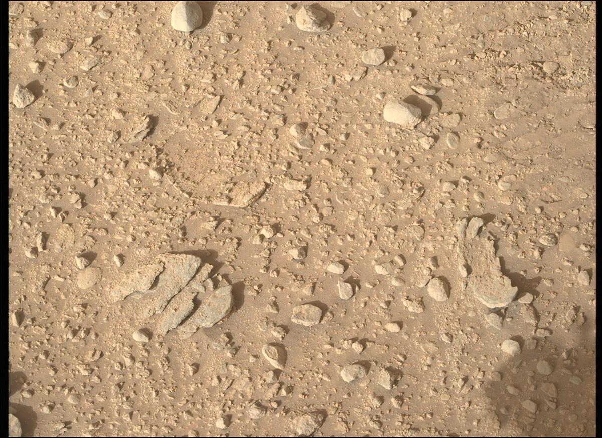 This image was taken by MCZ_RIGHT onboard NASA's Mars rover Perseverance on Sol 700