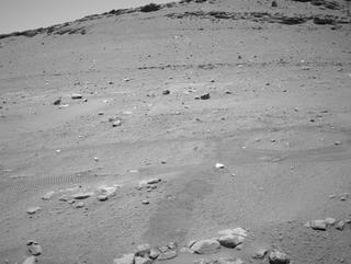 View image taken on Mars, Mars Perseverance Sol 701: Right Navigation Camera (Navcam)