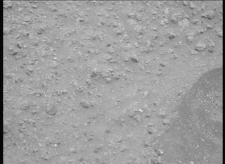 View image taken on Mars, Mars Perseverance Sol 701: Right Mastcam-Z Camera