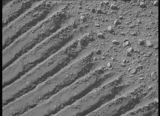 View image taken on Mars, Mars Perseverance Sol 702: Left Mastcam-Z Camera